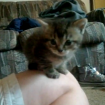 Picture 1
